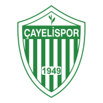 cayelispor-logo-png_seeklogo-391252